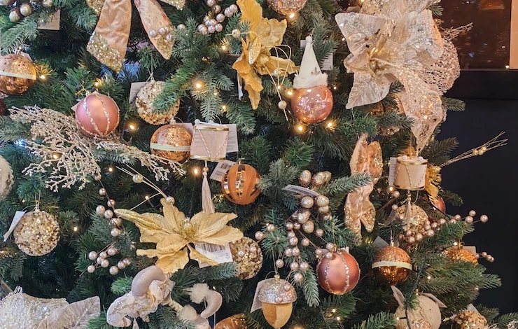 как выбрать высоту елки