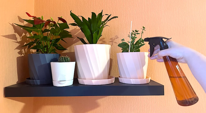 паутинный клещ на комнатных как бороться