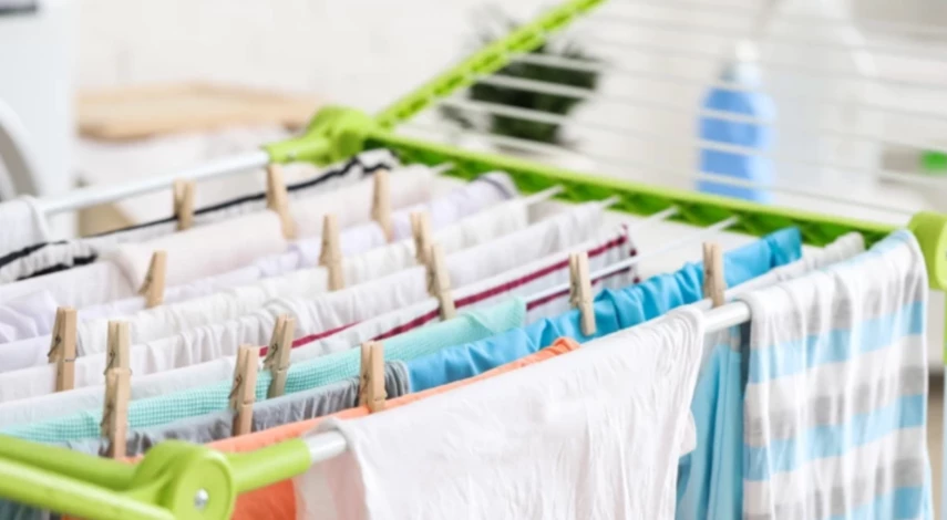 паутинный клещ на домашнем растении