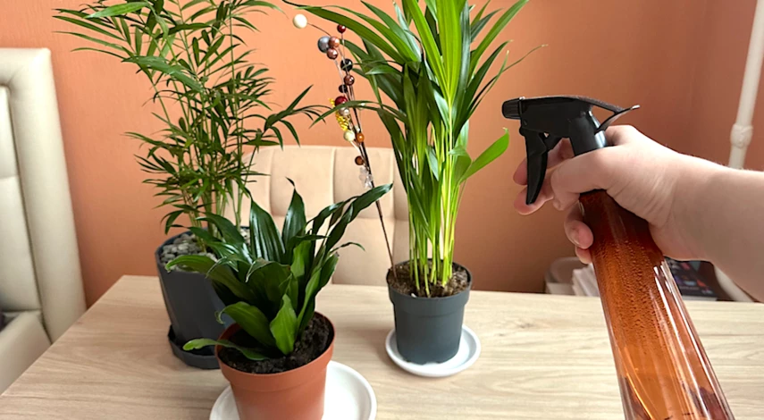 универсальный грунт для комнатных растений