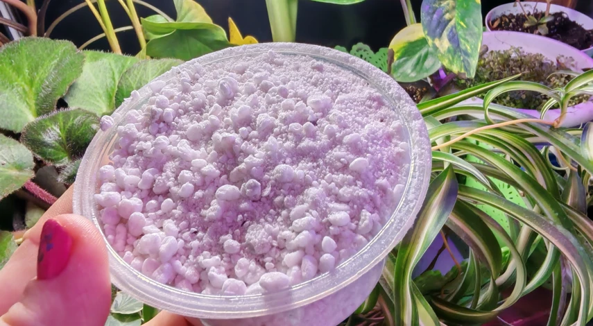 какой грунт нужен для замиокулькаса