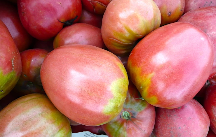 томаты черри лучшие сорта для теплиц