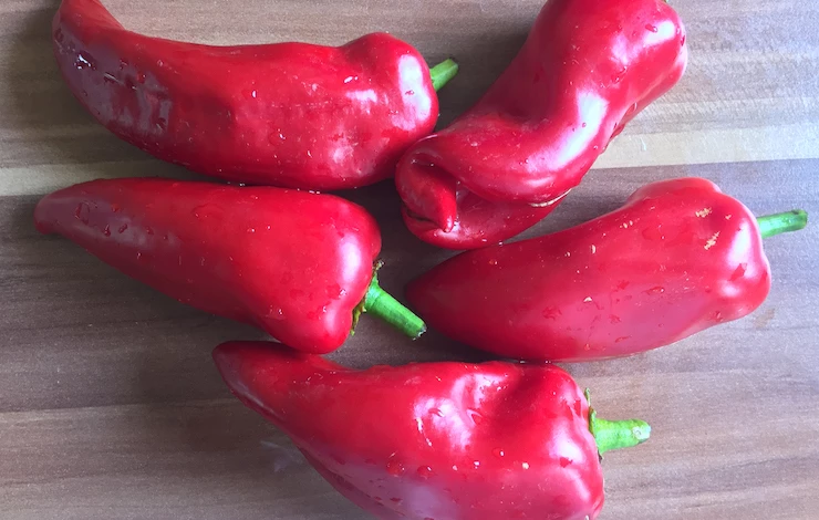 лучшие сорта перцев