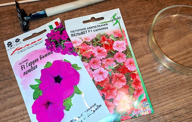 посев петунии на рассаду в 2025