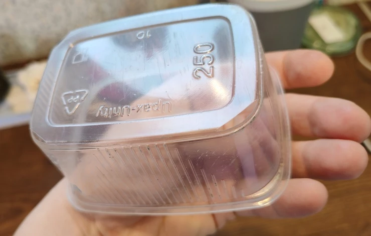 посев петунии в январе