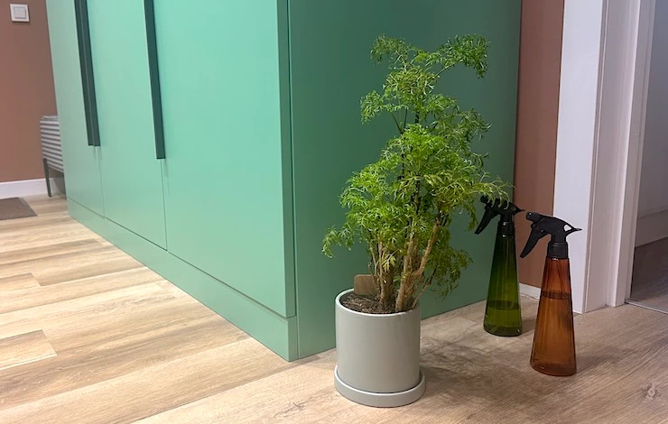 полисциас уход