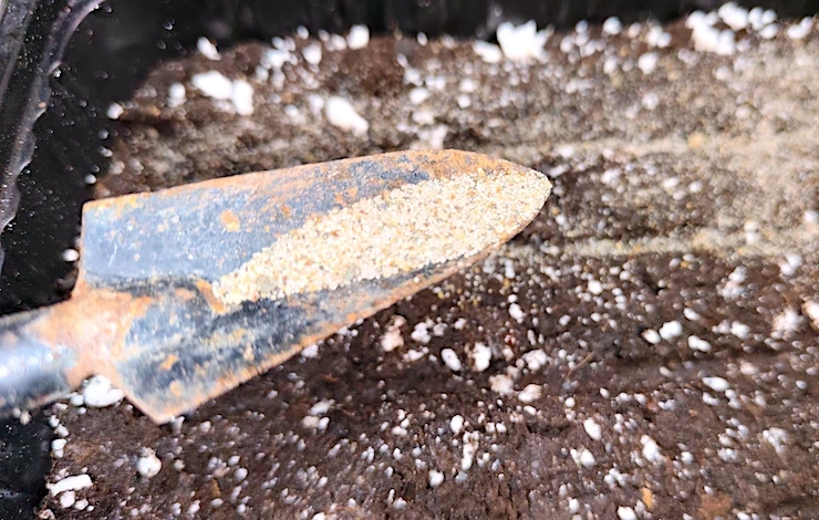 обриета в домашних условиях