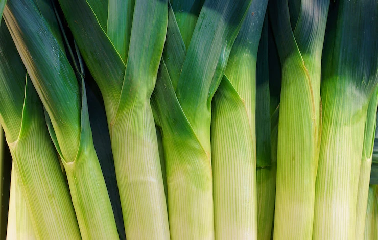 семена лука порея