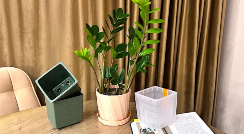 благоприятные дни пересадки комнатных растений в феврале