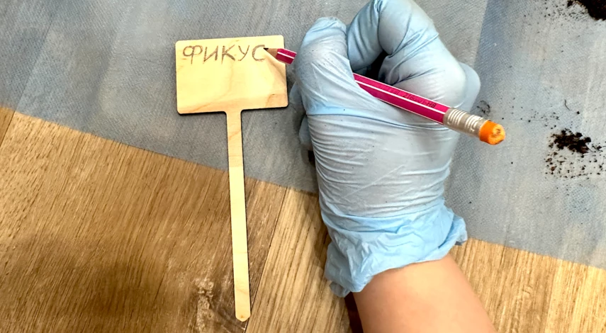 февраль 2025 пересадка комнатных цветов лунный календарь