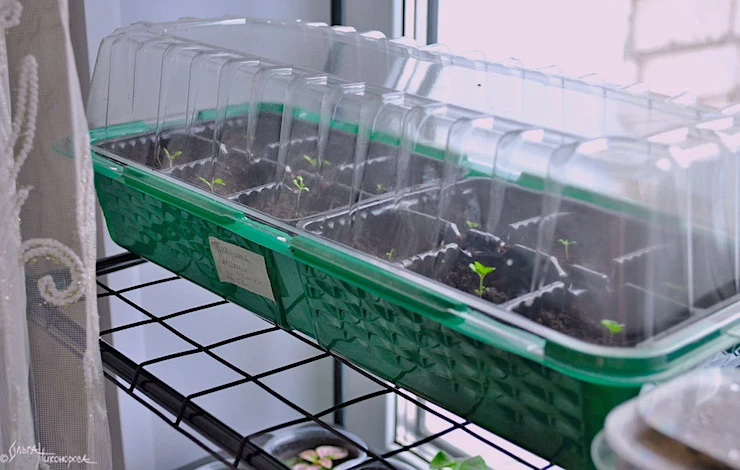 стеллаж для рассады
