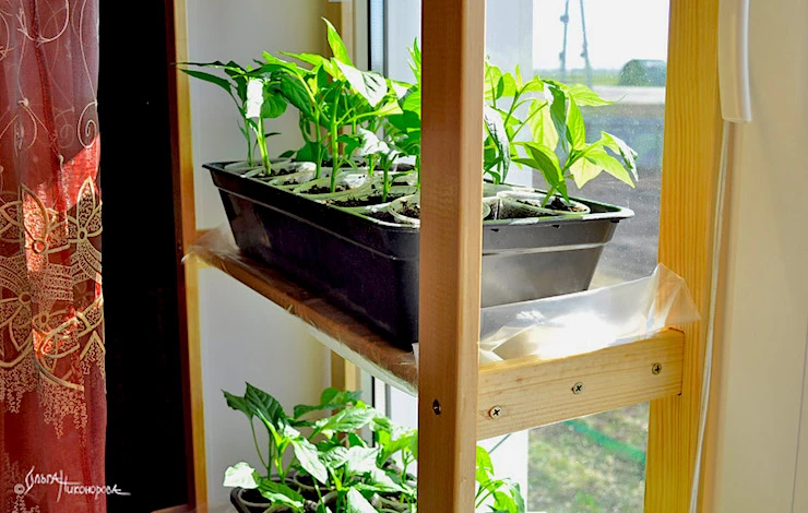 стеллаж для рассады своими руками