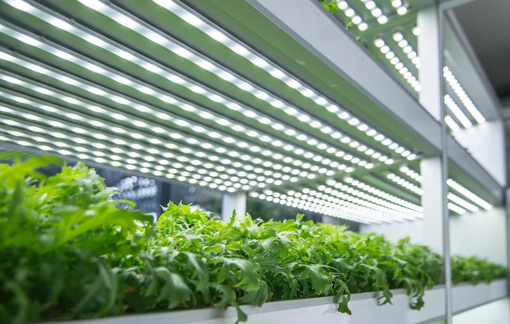 стеллаж для рассады металлический