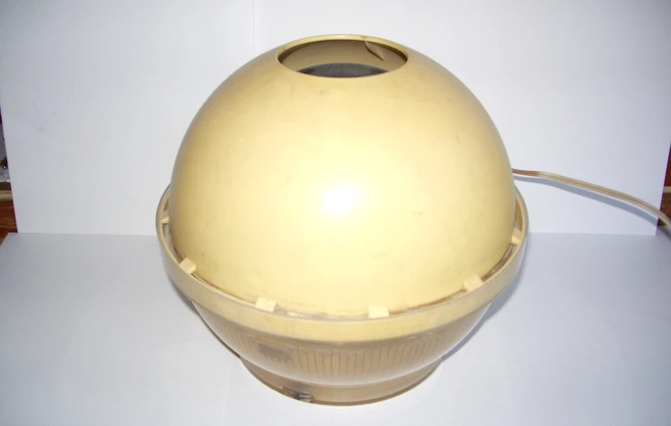 размножение туи