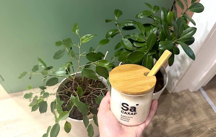 чем подкормить фикусы для роста