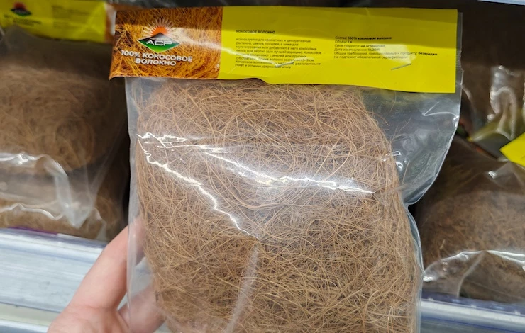 посадить орхидею в грунт