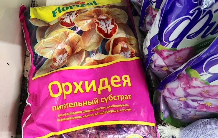 какой грунт нужен для орхидеи