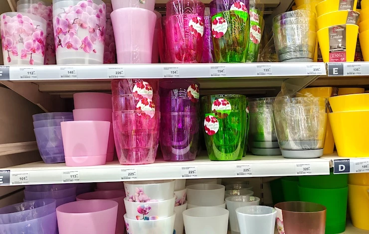 орхидея в горшке грунт