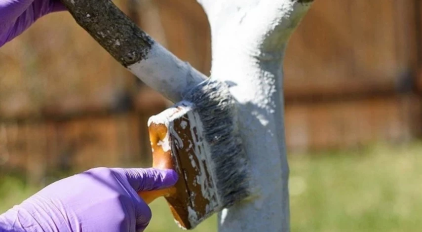 работы на даче весной