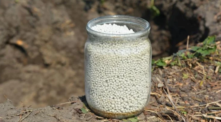 работы в огороде весной