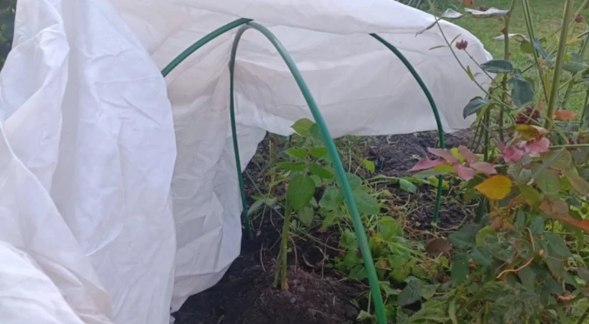 весенние работы в саду