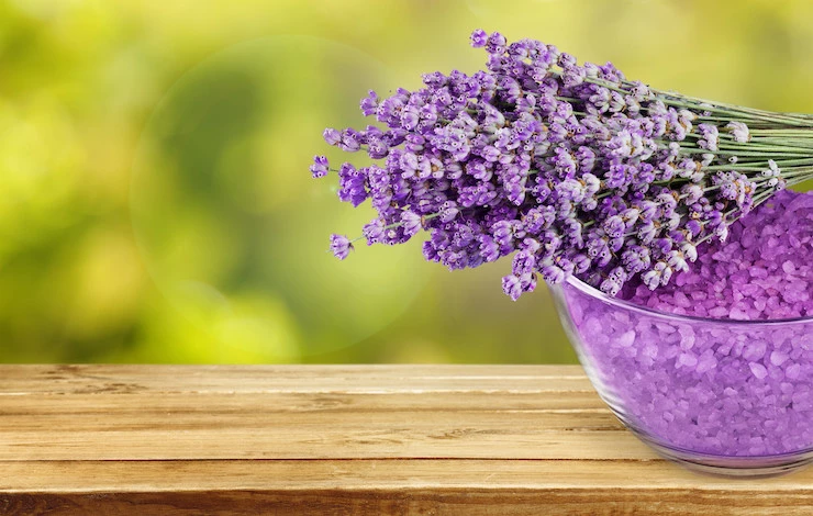 цветы для посадки в марте