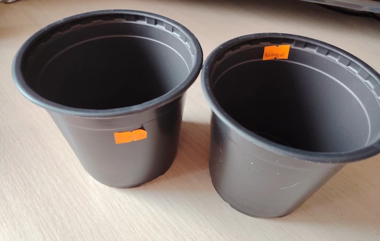 наклейки для рассады