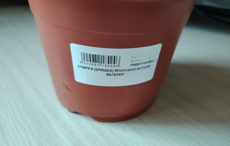 бирки для рассады