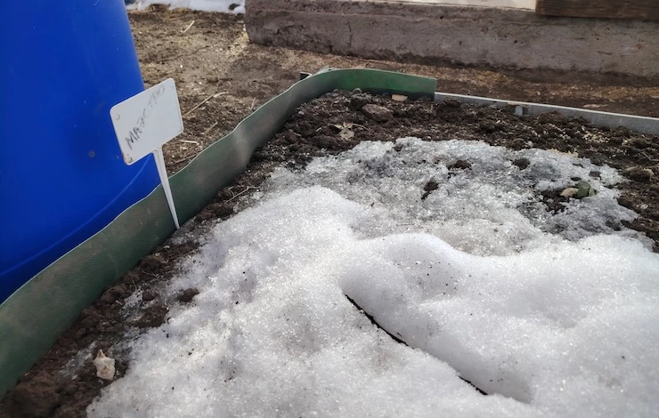 подписать рассаду