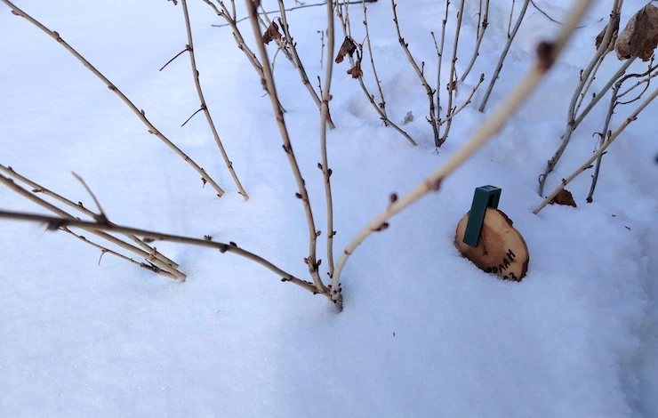 садовые таблички для растений