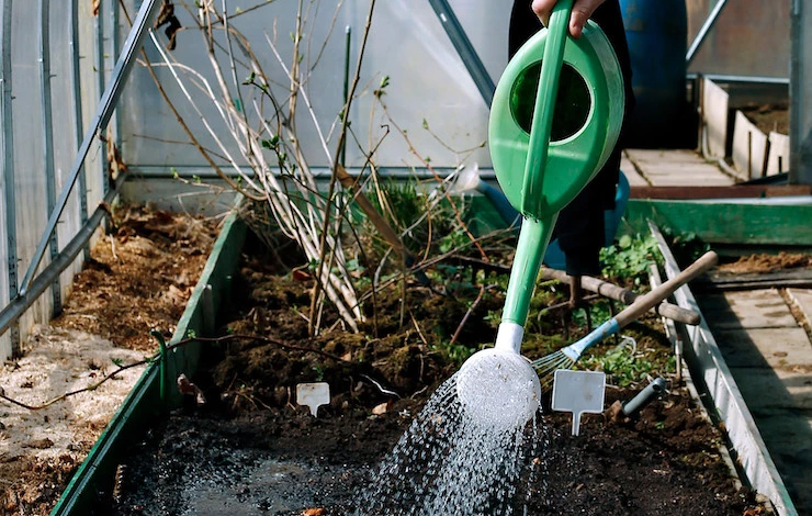 обработка теплицы