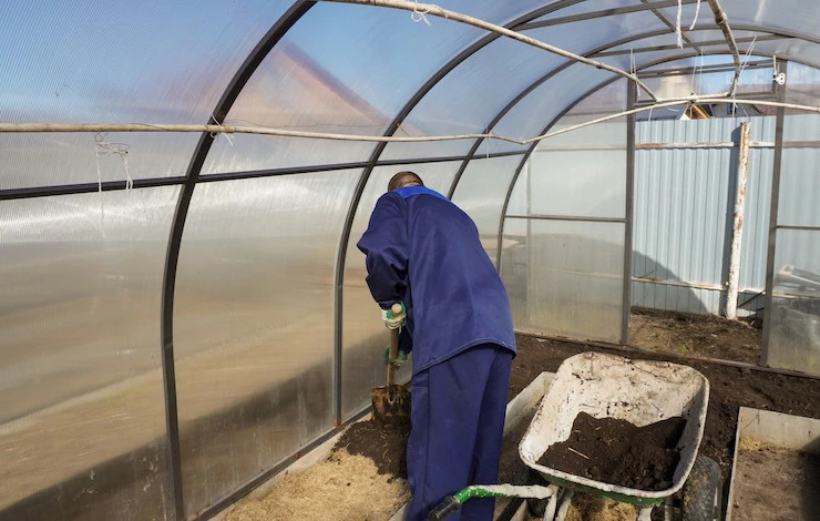 подготовка теплицы весной