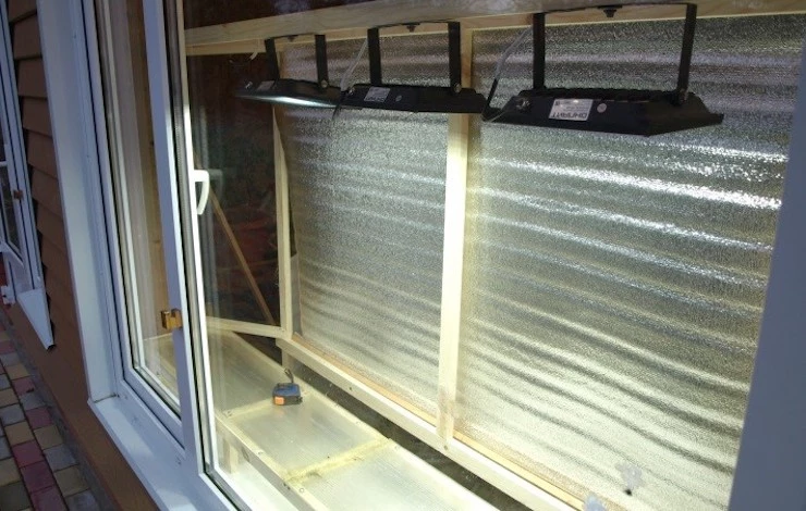 Как ускорить рост рассады томатов