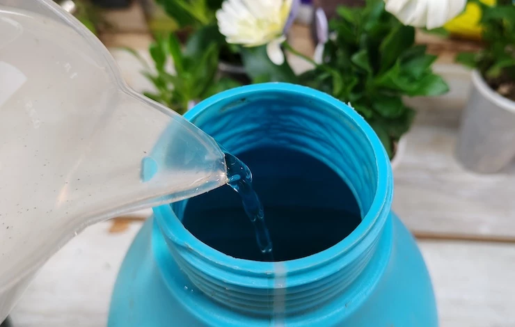 обработки рассады томатов от вредителей