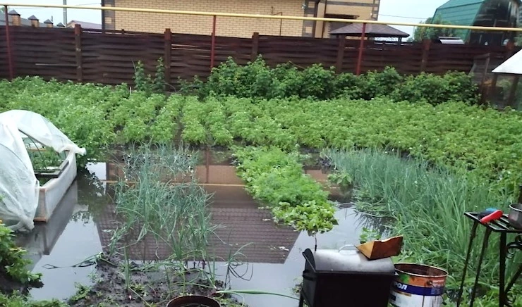 высокие грядки для рассады