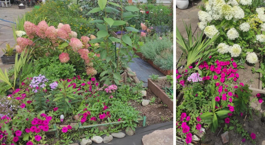 хранение цветов