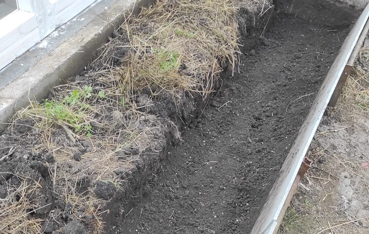 замена грунта в теплице весной