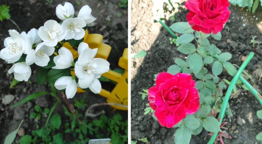 первые работы на даче весной