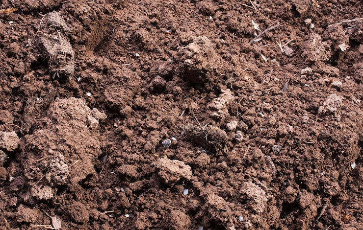 кислотность почвы