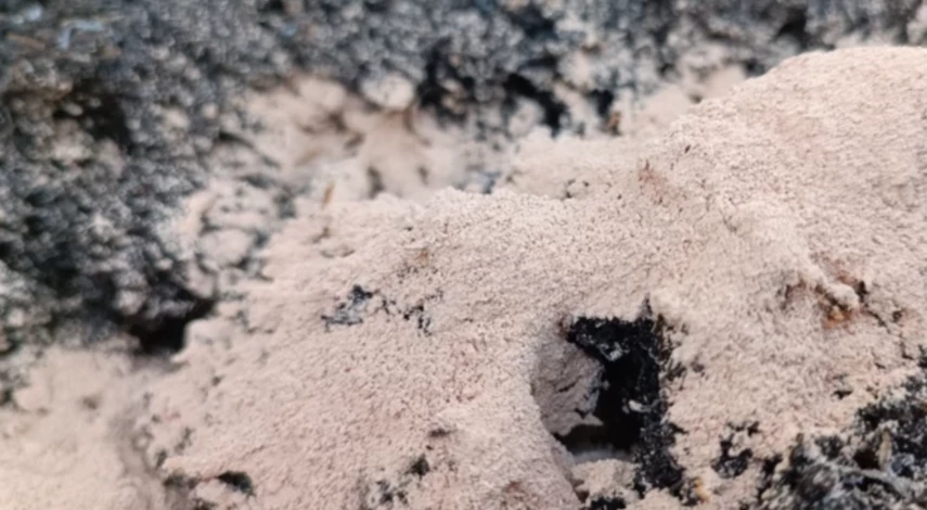 измерить кислотность почвы