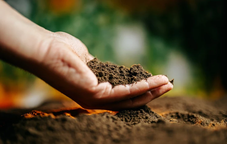 измерить кислотность грунта