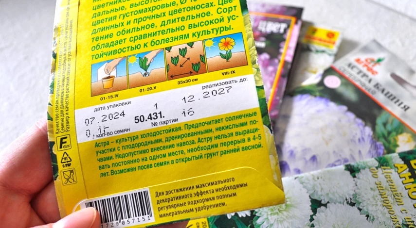 однолетние цветы в мае