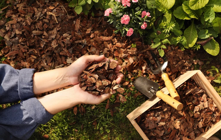 чем мульчировать грядки