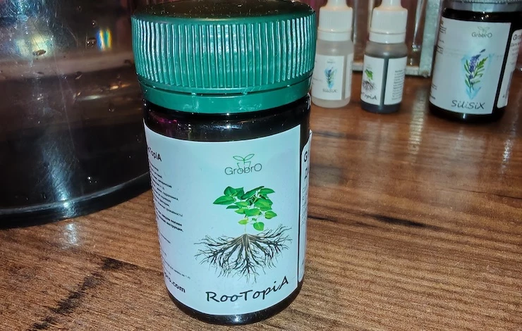 огурцы посадка на рассаду