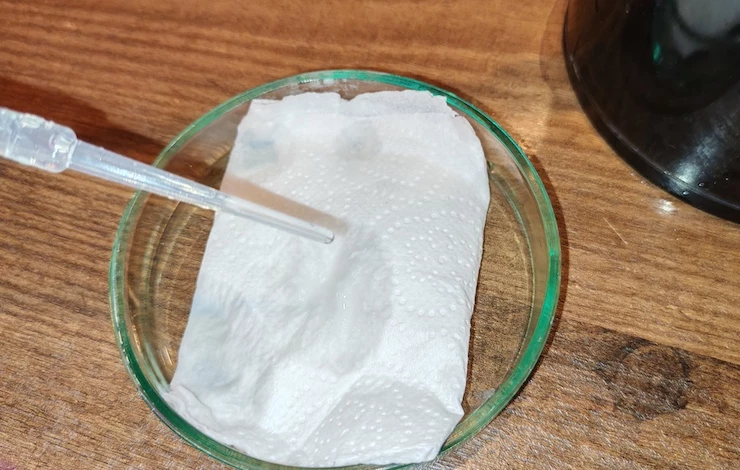 дни посадки огурцов