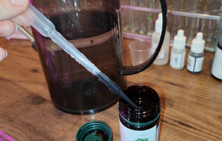 посадка огурцов 2025