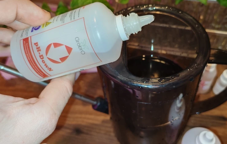 огурцы посадка в апреле