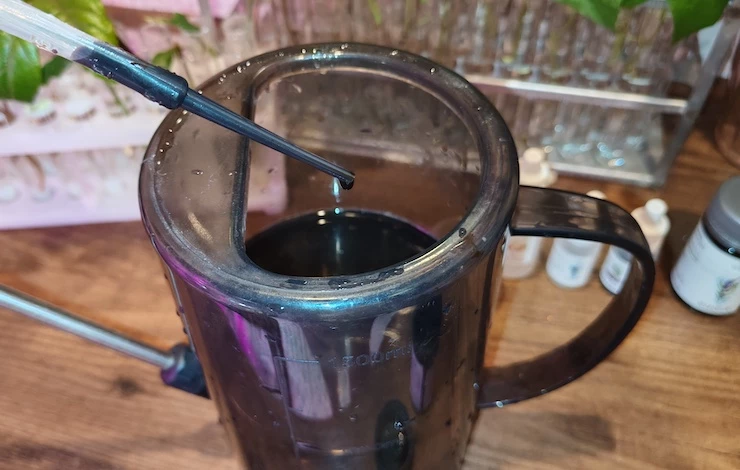 огурцы посадка на рассаду в 2025