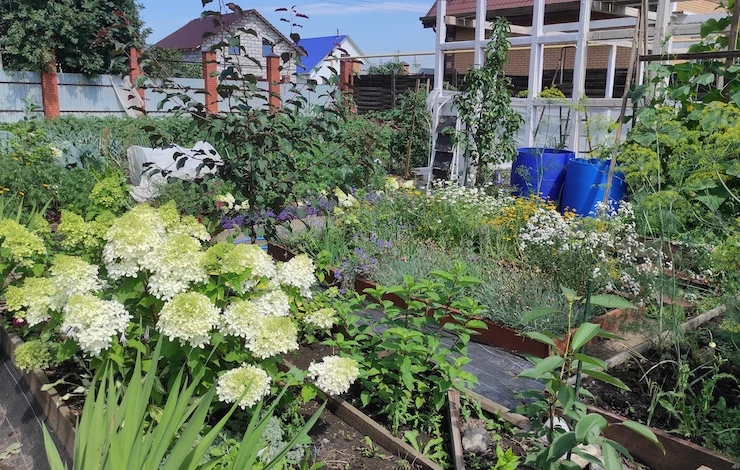 севооборот правила