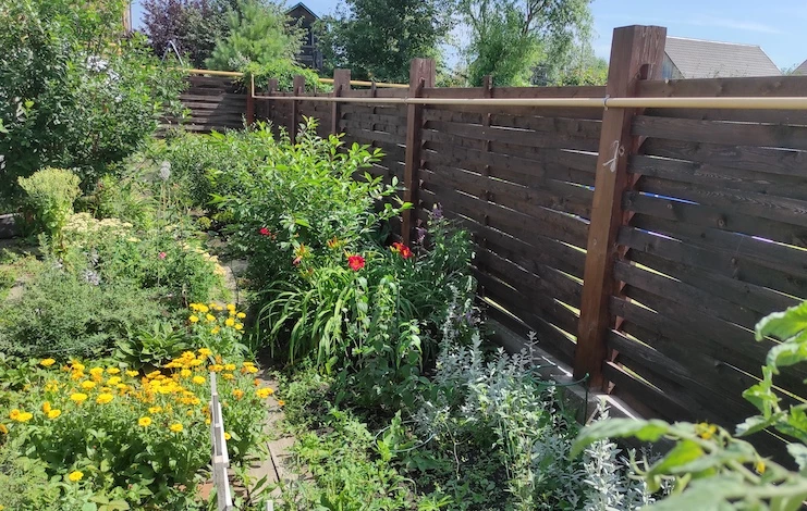 что с чем сажать